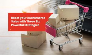 Leveraging E-Commerce to Boost Sales of Lifestyle Products