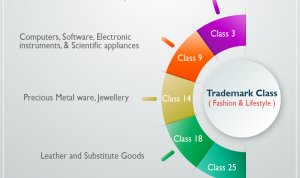 Top-Selling Fashion Products and What Sets Them Apart