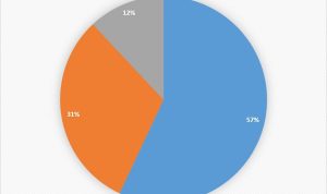 Understanding Consumer Preferences in Decoration Shopping