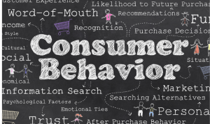Understanding Consumer Behavior in the Lifestyle Category