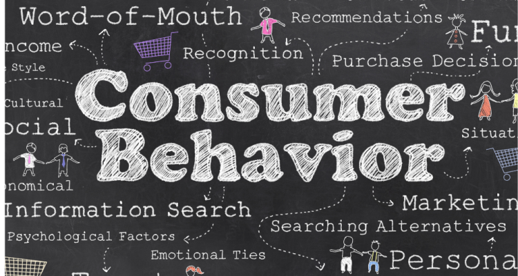 Understanding Consumer Behavior in the Lifestyle Category