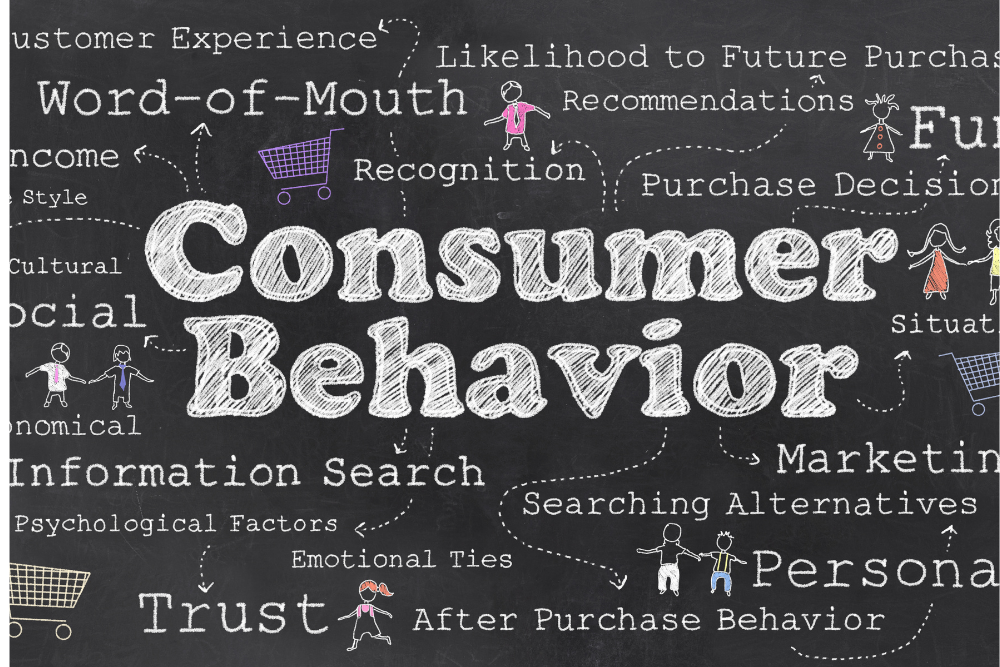 Understanding Consumer Behavior in the Lifestyle Category