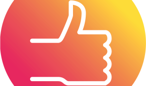Best-Selling Software Solutions and Their Key Features