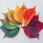 Seasonal Trends in Childrens Product Purchases Revealed