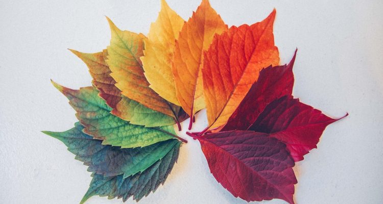 Seasonal Trends in Childrens Product Purchases Revealed